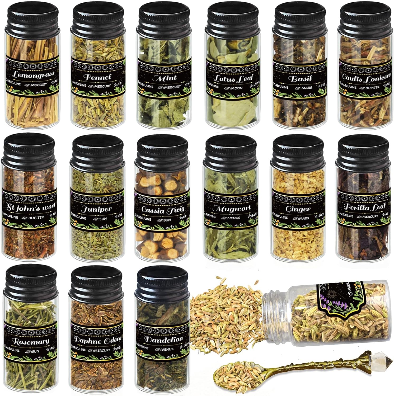 Fifteen jars of dried herbs