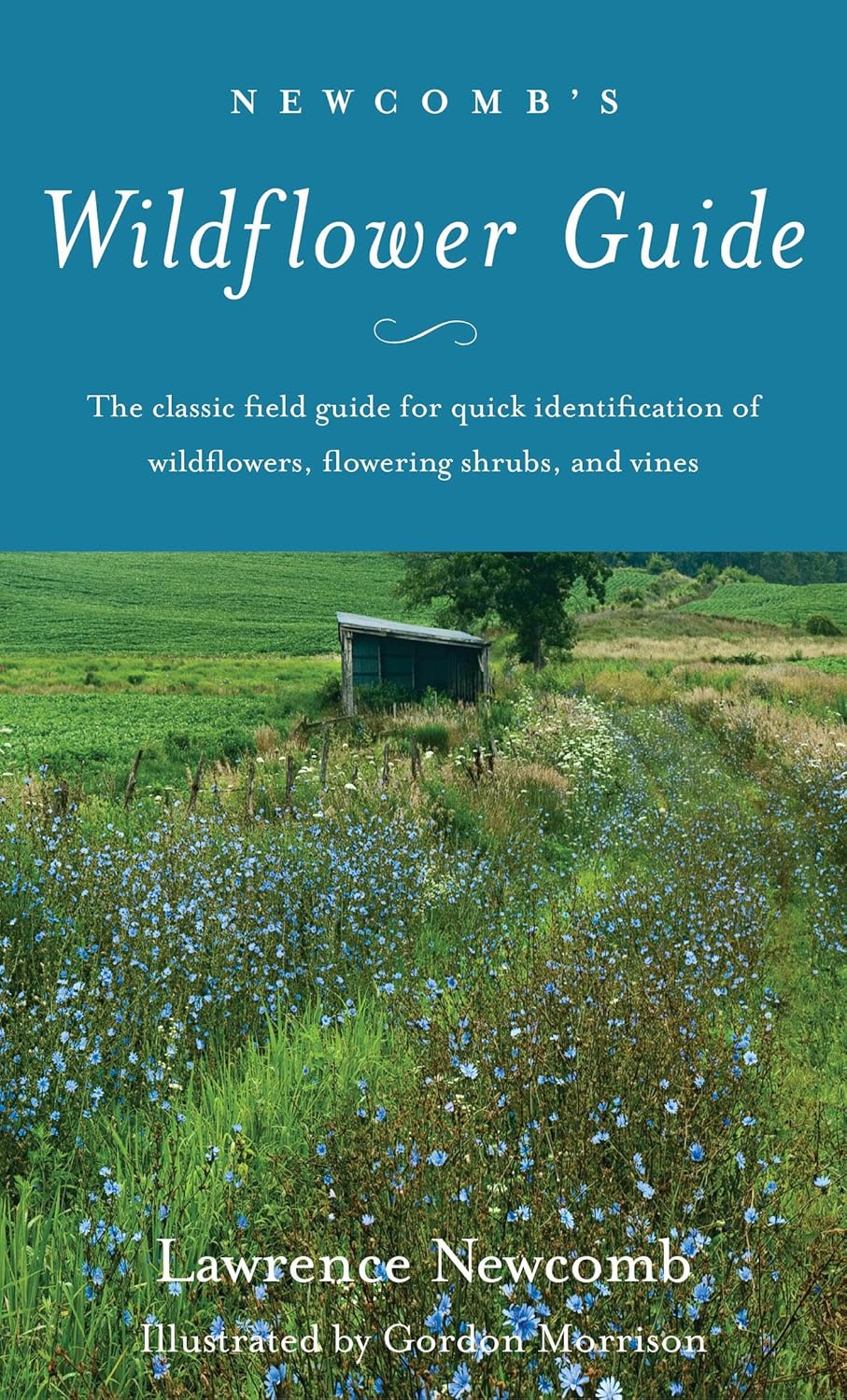 Cover of Newcomb's Wildflower Guide